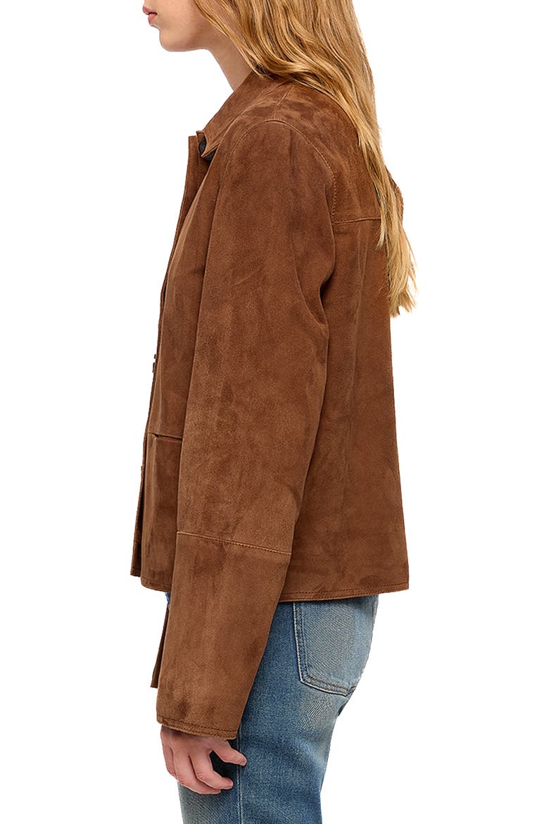 Lessa Suede Leather Jacket, Alternate, color, COGNAC