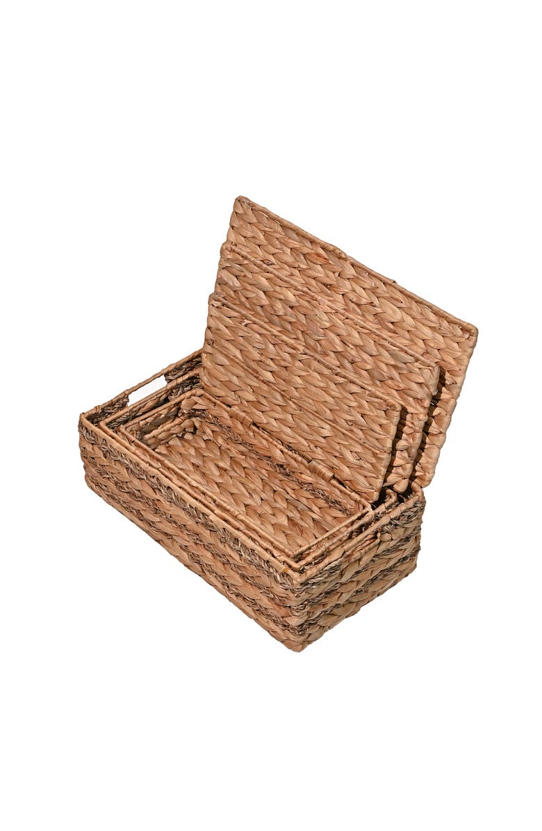 HAPPIMESS Sandrine Classic Farmhouse Hand-Woven Hyacinth Storage Baskets with Handles and Lids, Alternate, color, Natural
