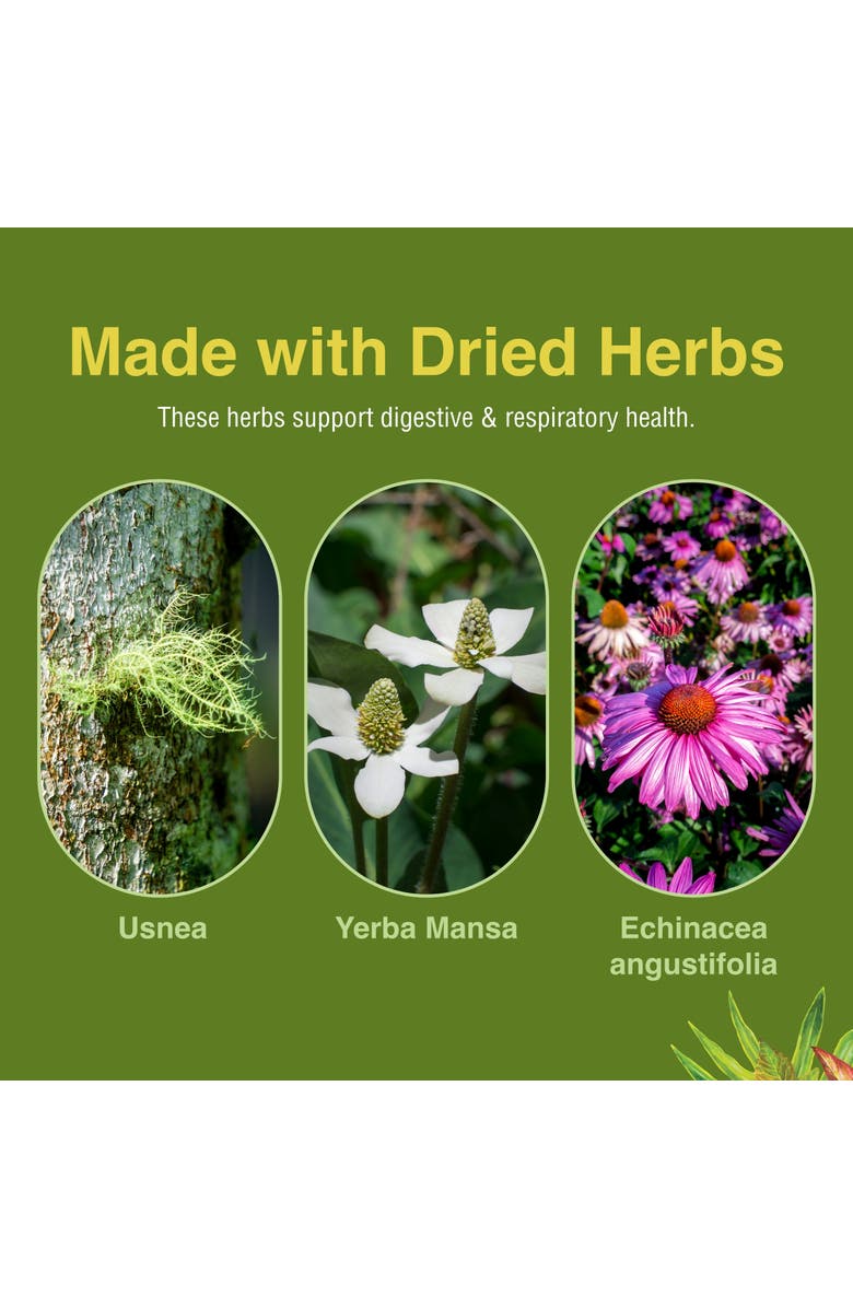 Trace Minerals Phytocillin - Respiratory & Digestive Health Support Supplement - Herbal Formula to Support Digestion - Support Healthy Breathing - 120 Softgels, Alternate, color, 