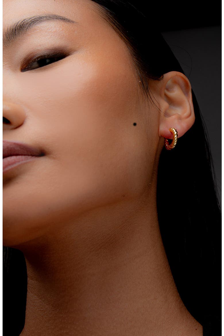 Fenny Twisted Mini Hoop Earrings in Gold, Alternate, color, Gold
