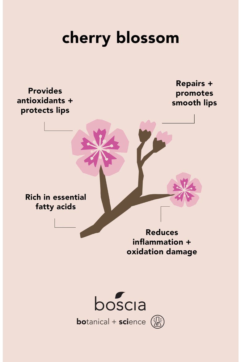Cherry Blossom & Bakuchiol Resurfacing Lip Repair, Alternate, color, NO COLOR