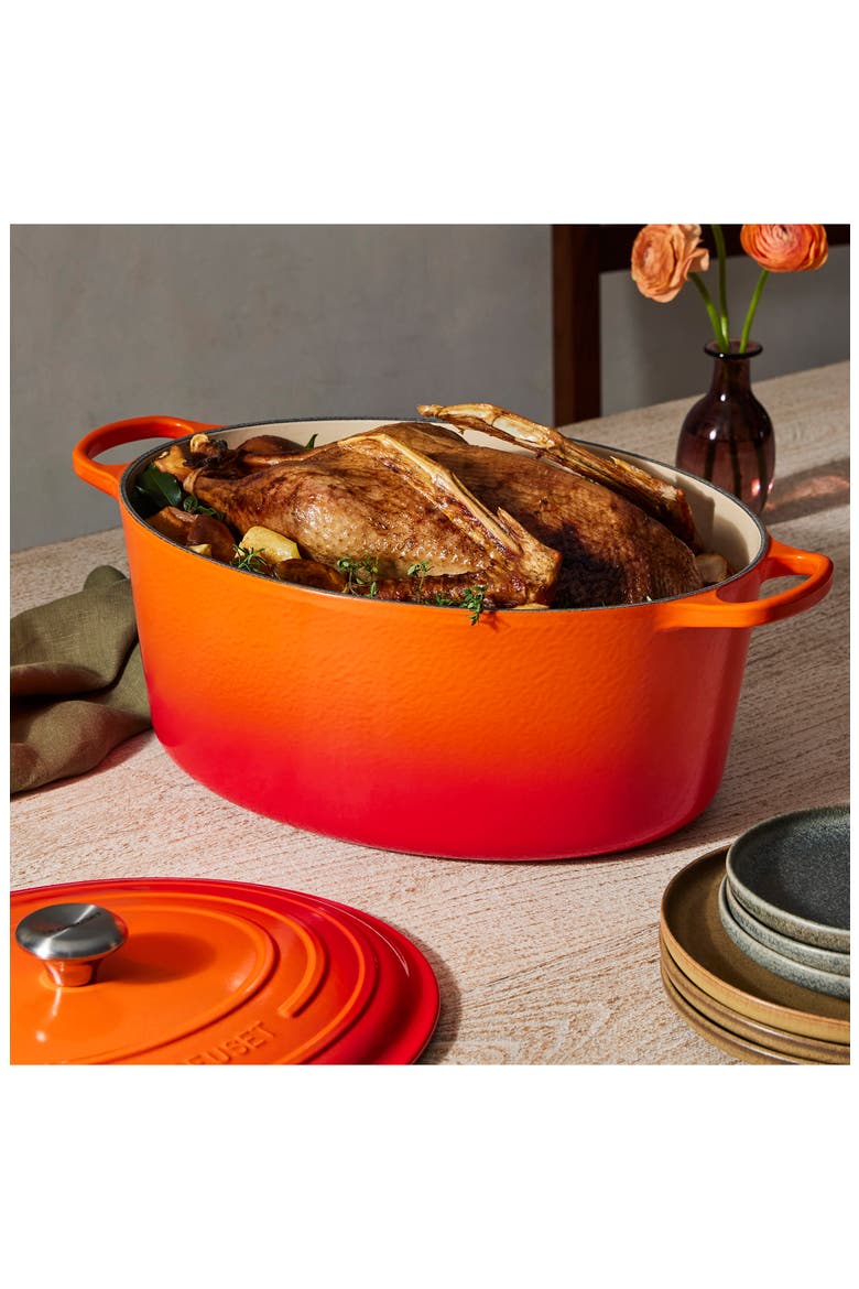 Signature 15 1/2-Quart Oval Enamel Cast Iron French/Dutch Oven, Alternate, color, FLAME
