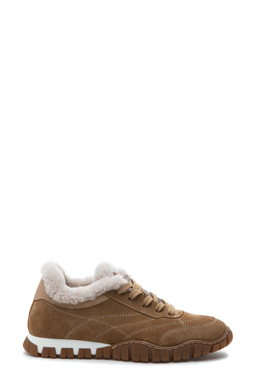 275 Central Qutie Genuine Shearling Lined Sneaker In Brown