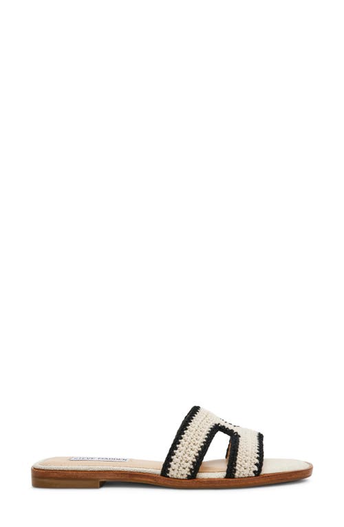 Steve Madden Hazel Slide Sandal