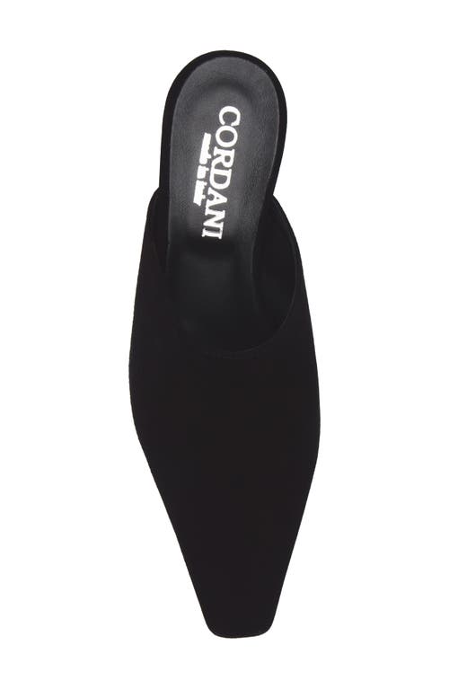 Cordani Ronan Kitten Heel Mule In Multi