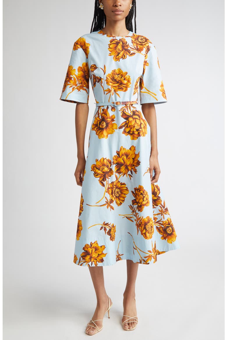 Tonal Peony Print Stretch Poplin Belted Dress, Main, color, BROWN/ ICE BLUE