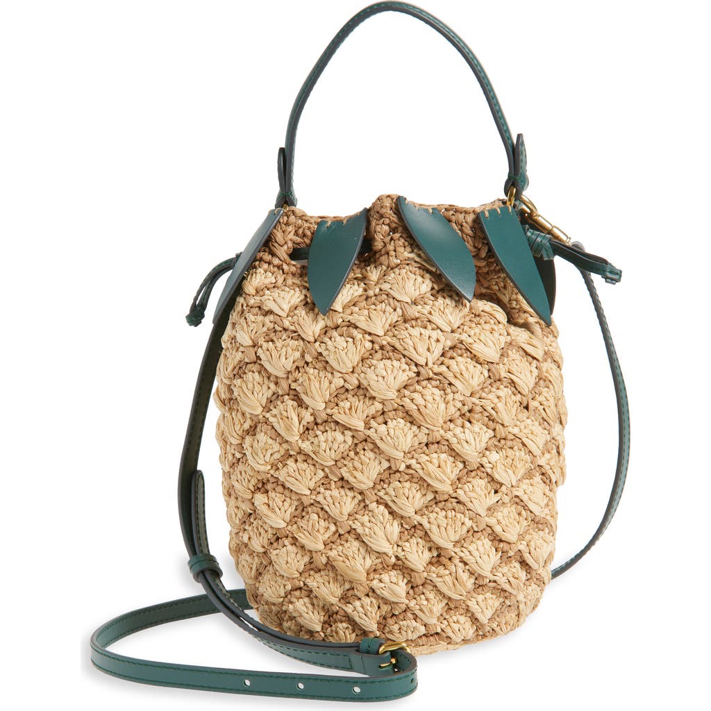 ANYA HINDMARCH ANYA HINDMARCH PINEAPPLE CROCHETED RAFFIA CROSSBODY BAG