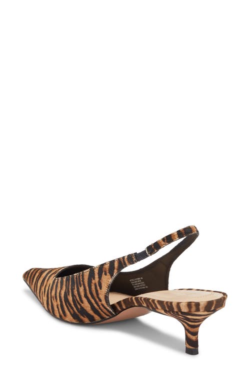 Steve Madden Kittie Slingback Pointed Toe Kitten Heel Pump In Brown