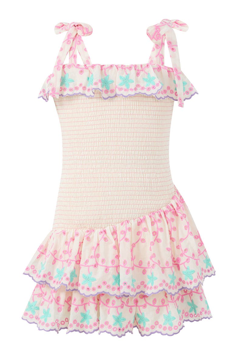Alanna Shirred Embroidered Mini Dress, Main, color, Multi