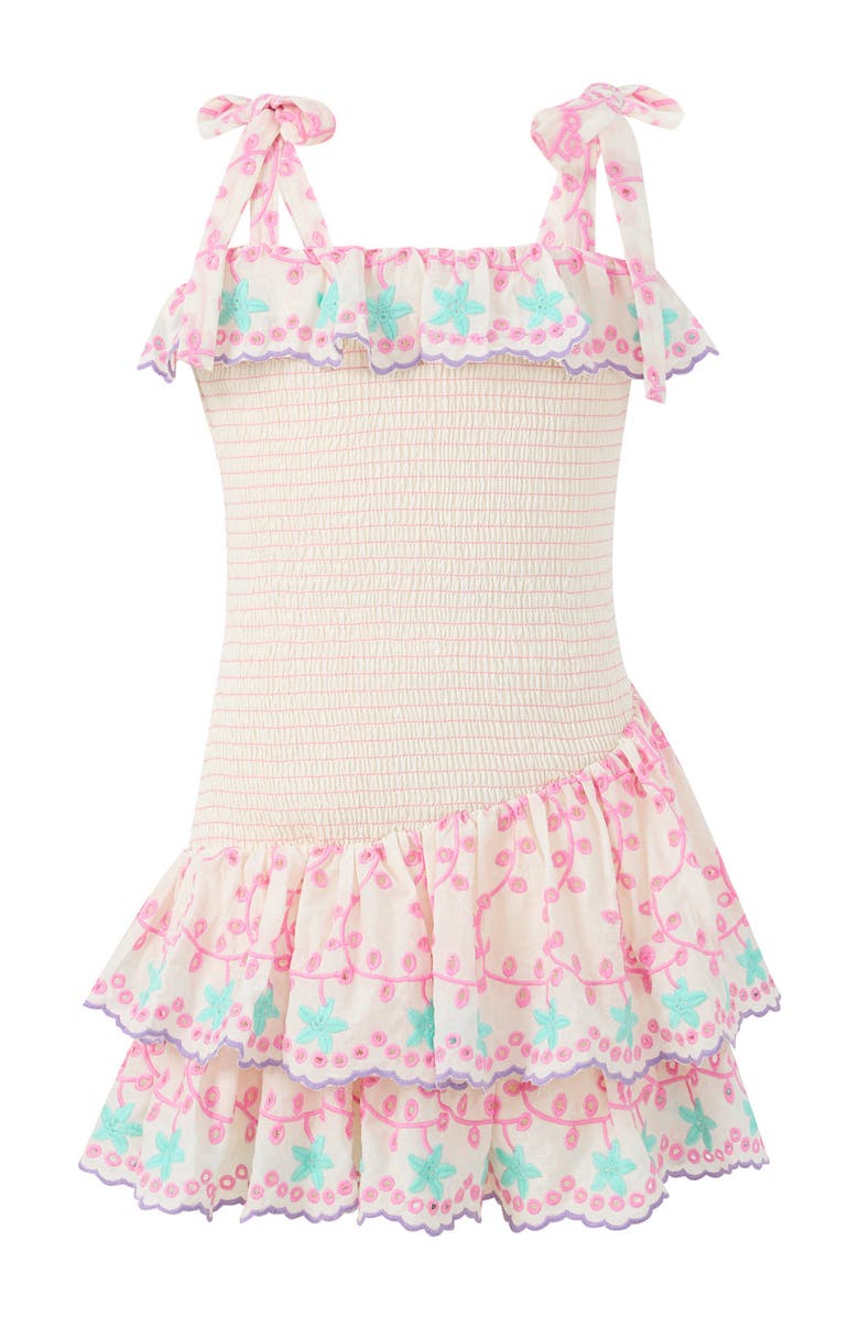 Marlo Kids Alanna Shirred Embroidered Mini Dress, Main, color, Multi