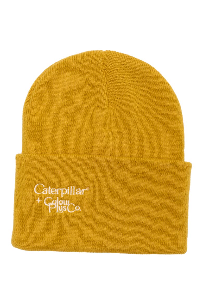 x Color Plus Basic Beanie, Main, color, TAWNY OLIVE