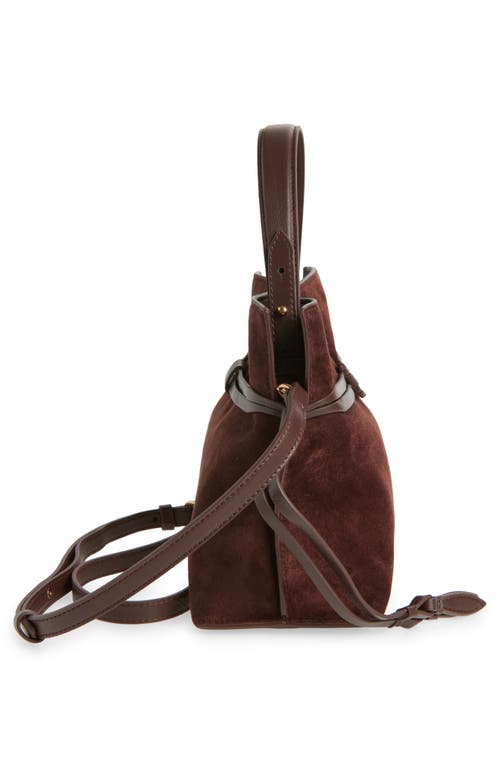 Sam Edelman Small Poppy Drawstring Leather Crossbody Bag In Brown