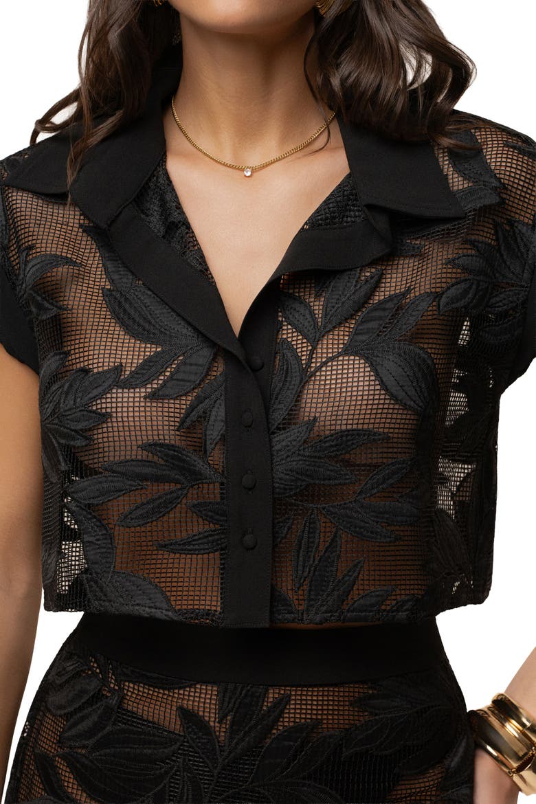 Bali Nights Embroidered  Top, Alternate, color, Black