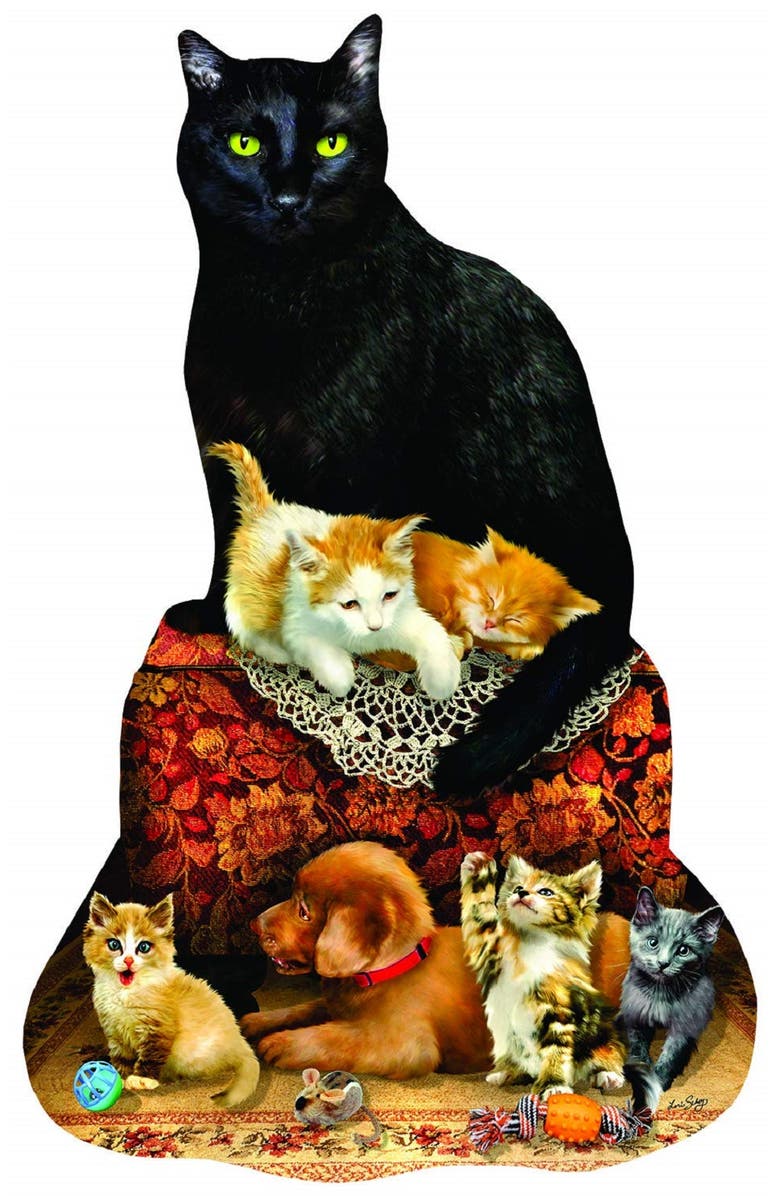 Sunsout Family Ottoman 1000 piece Jigsaw Puzzle for Adults Special Shape, Alternate, color, Multicolor