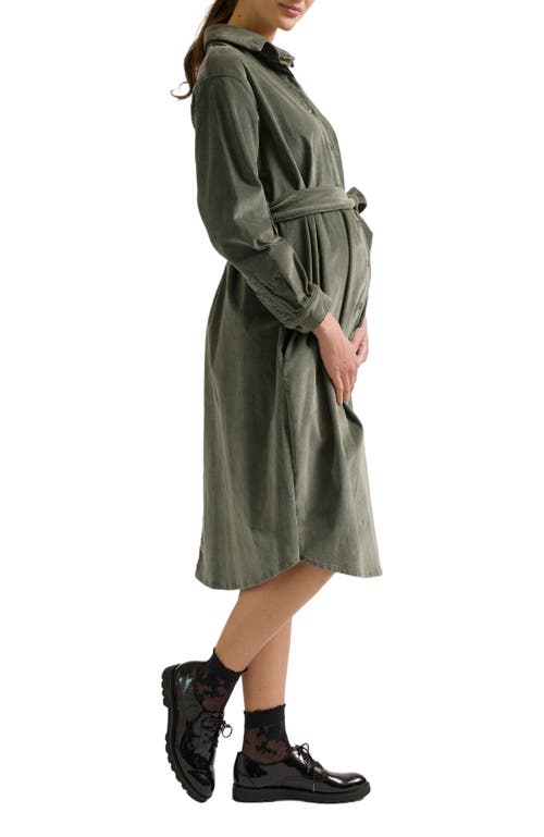 Zzdnu Cache Couer Jude Maternity Dress In Brown