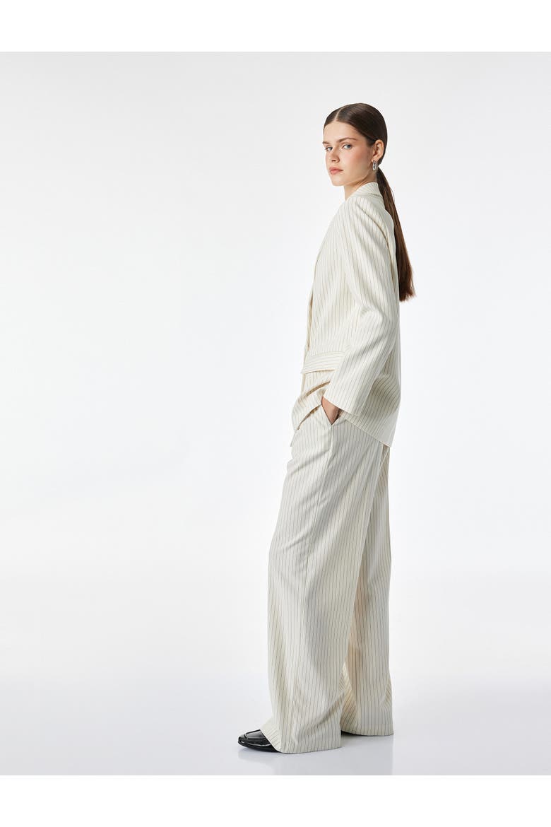 Long Sleeve Double-Breasted Pinstriped Blazer, Alternate, color, BEIGE STRIPE