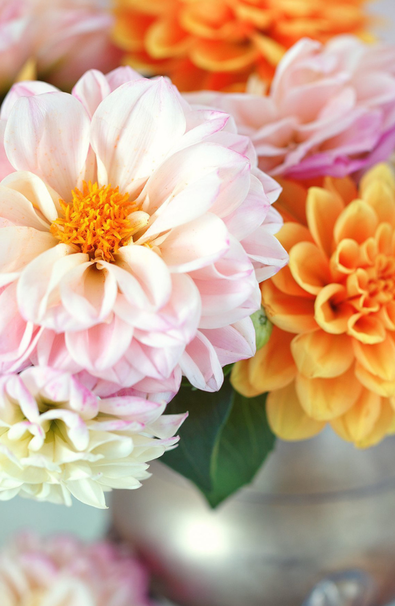 Pink Picasso Kits Darling Dahlia Paint by Numbers Kit, Alternate, color, Orange / Pink