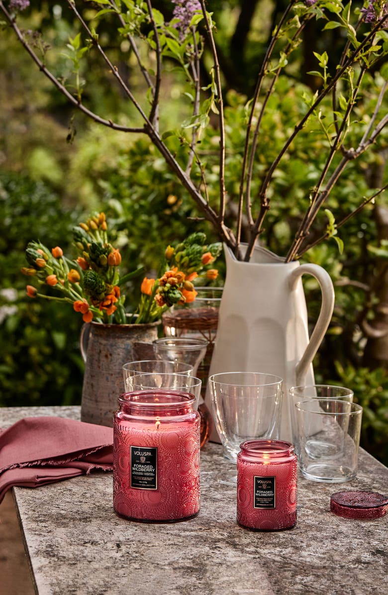 Voluspa Foraged Wildberry Small Jar Candle, Alternate, color, Foraged Wildberry
