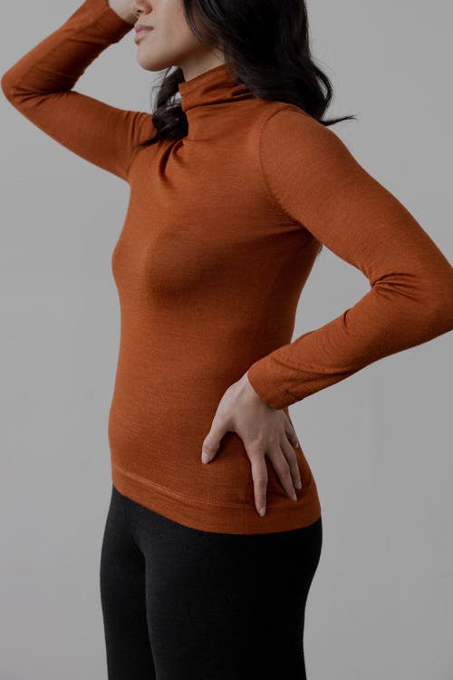Sskein Turtle Neck Pullover In Rust In Brown