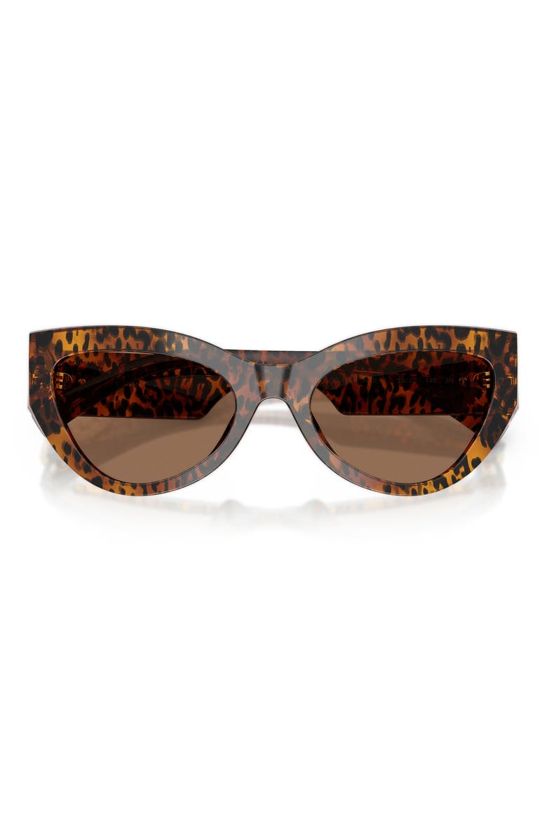 55mm Cat Eye Sunglasses, Alternate, color, LEO TRANSPARENT / DARK BROWN