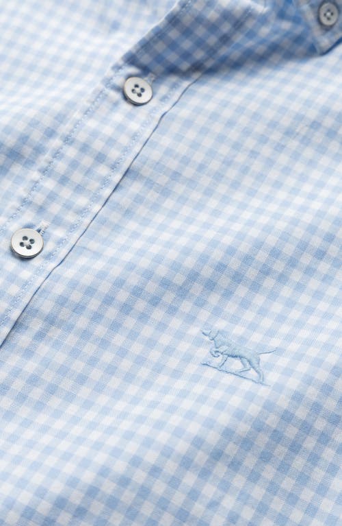 Rodd & Gunn Gunn Check Oxford Sports Fit Shirt In Malibu