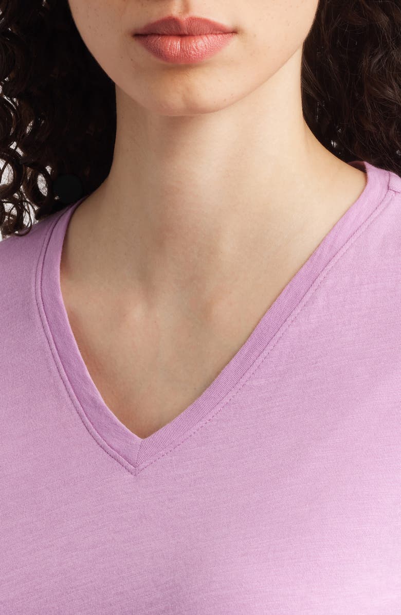 Eileen Fisher Easy V-Neck Organic Cotton T-Shirt, Alternate, color, Frlil