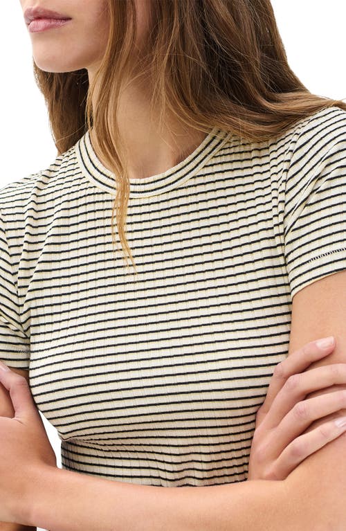 Rag & Bone Luca Stripe Rib Baby T-shirt In Gold