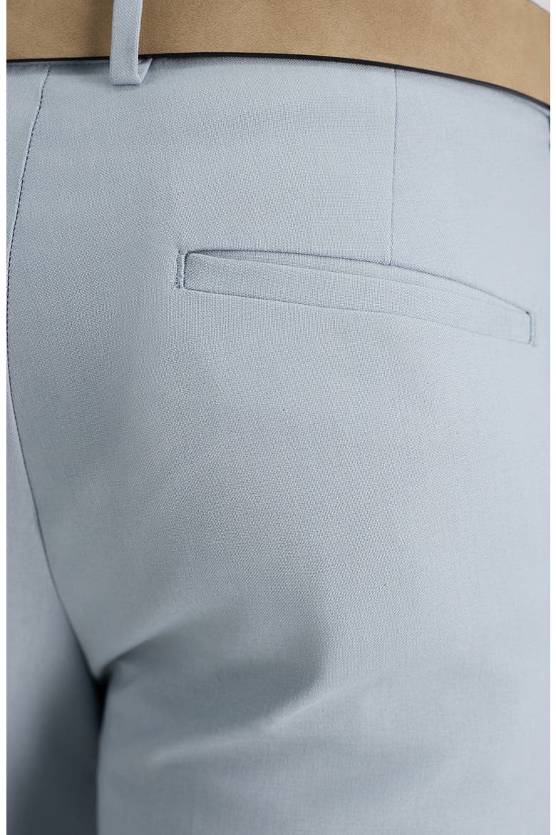Flat Front Slim Fit Pants, Alternate, color, SKY