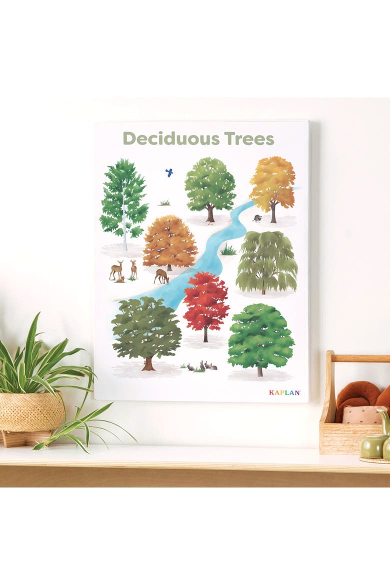 Deciduous Tree Giclee Classroom Wall Print, Alternate, color, green