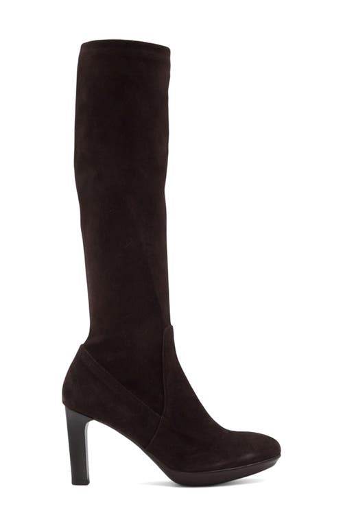 Aquatalia Rhumba Knee High Boot In Brown
