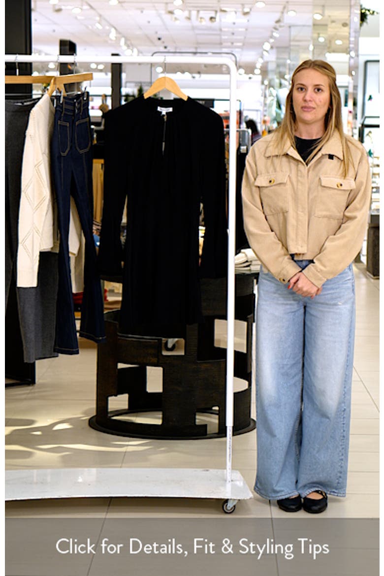 Mini Ezri Long Sleeve Dress video