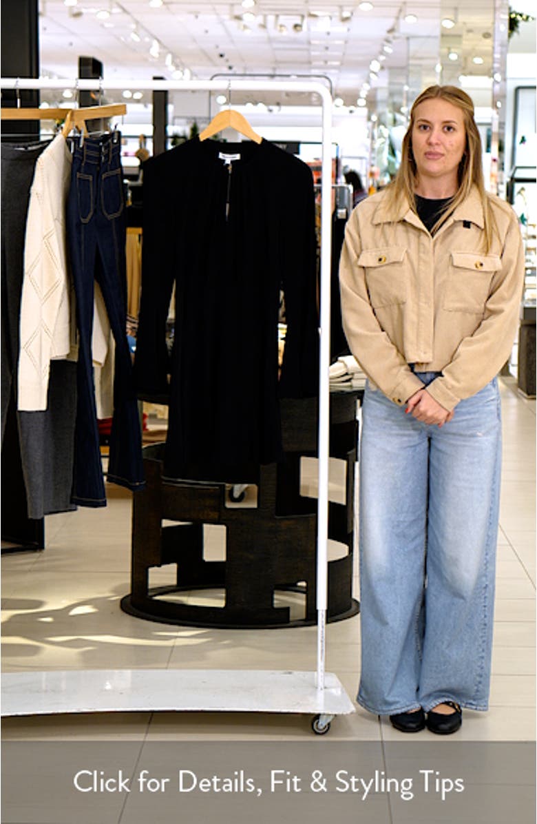 Mini Ezri Long Sleeve Dress, sales video thumbnail