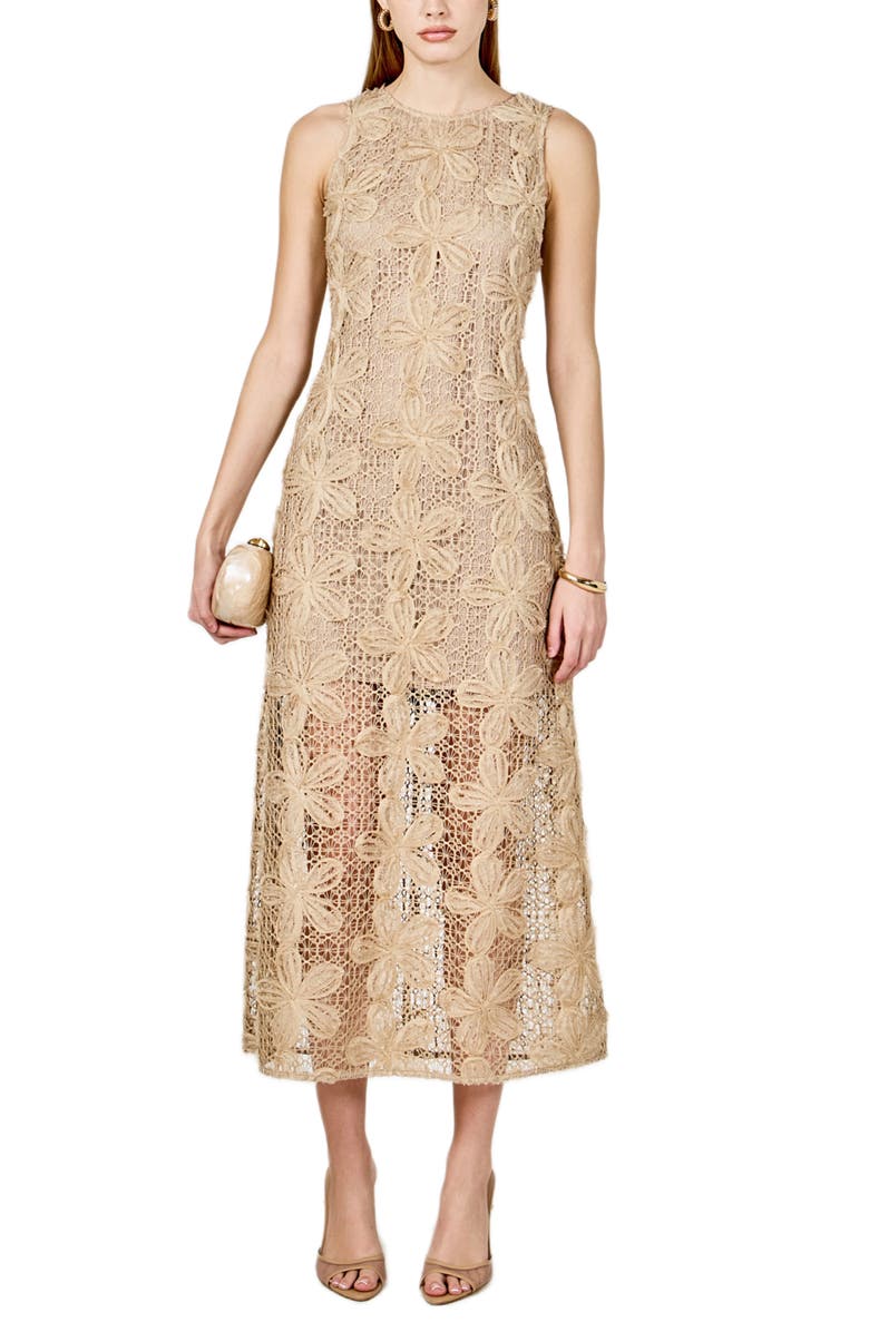 Endless Rose Lacy Sleeveless Dress, Alternate, color, Taupe
