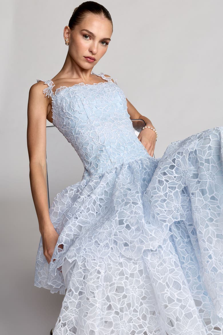 Sleeveless Embroidered Lace Tiered Midi Dress, Alternate, color, Powder Blue