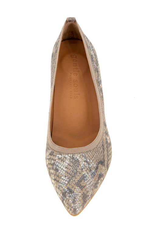 Gentle Souls Dionne Pointed Toe Pump In Brown