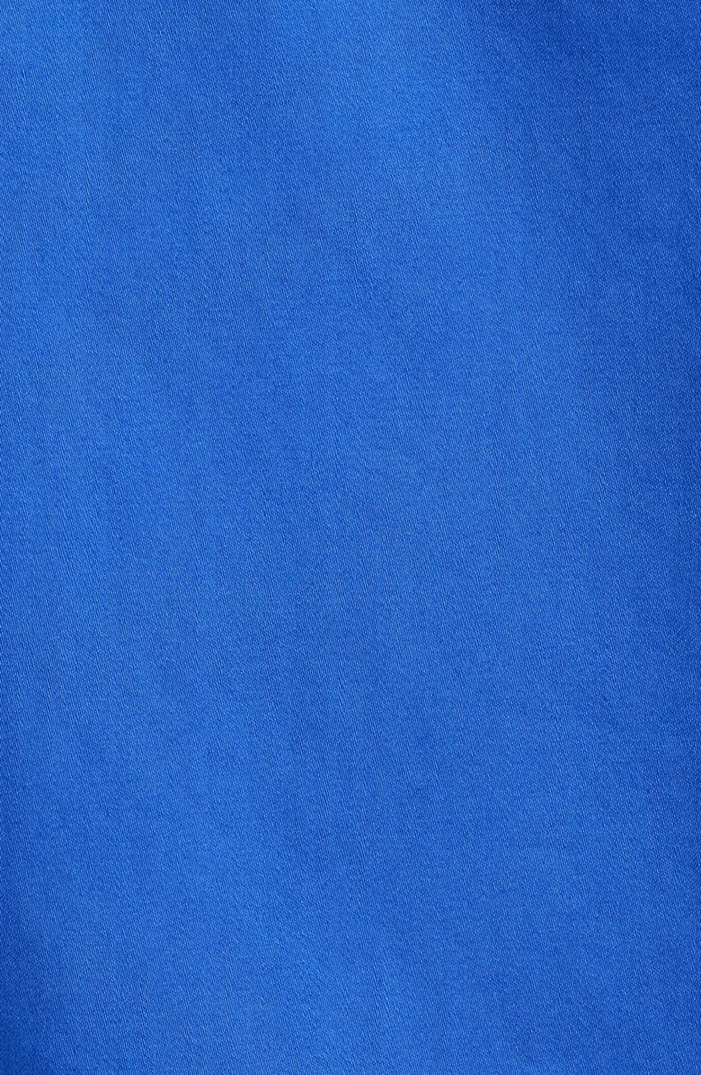 Siragusa Printed Silk Trim Dress Shirt, Alternate, color, Royal Blue