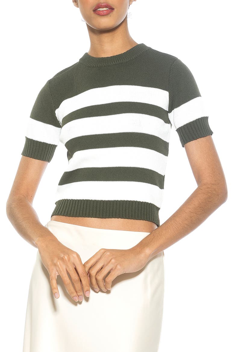 Pat Stripe Short Sleeve Sweater Top, Main, color, SAGE