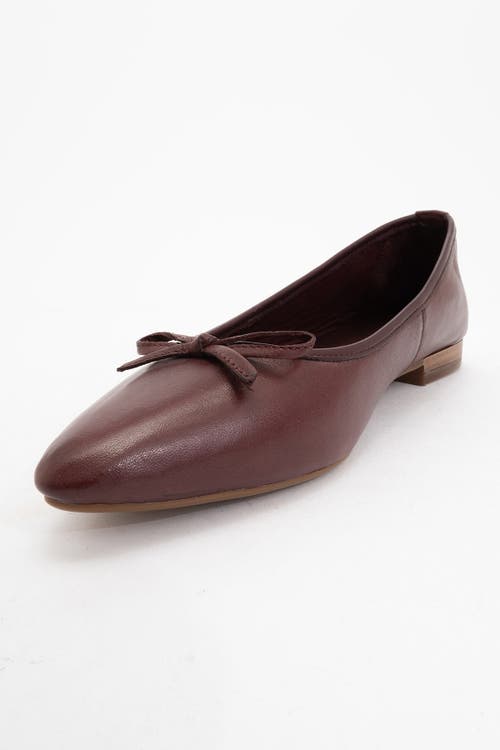 Forever & Always Shoes Ruby Leather Pointed Toe Flats In Burgundy Brown Leather