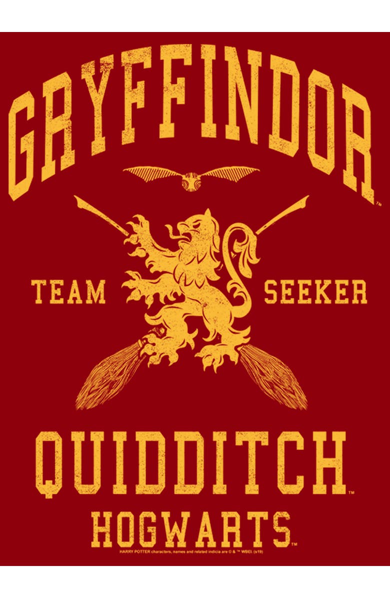 HARRY POTTER Men's Harry Potter Gryffindor Quidditch Gold Team Seeker Graphic T-Shirt, Alternate, color, Cardinal
