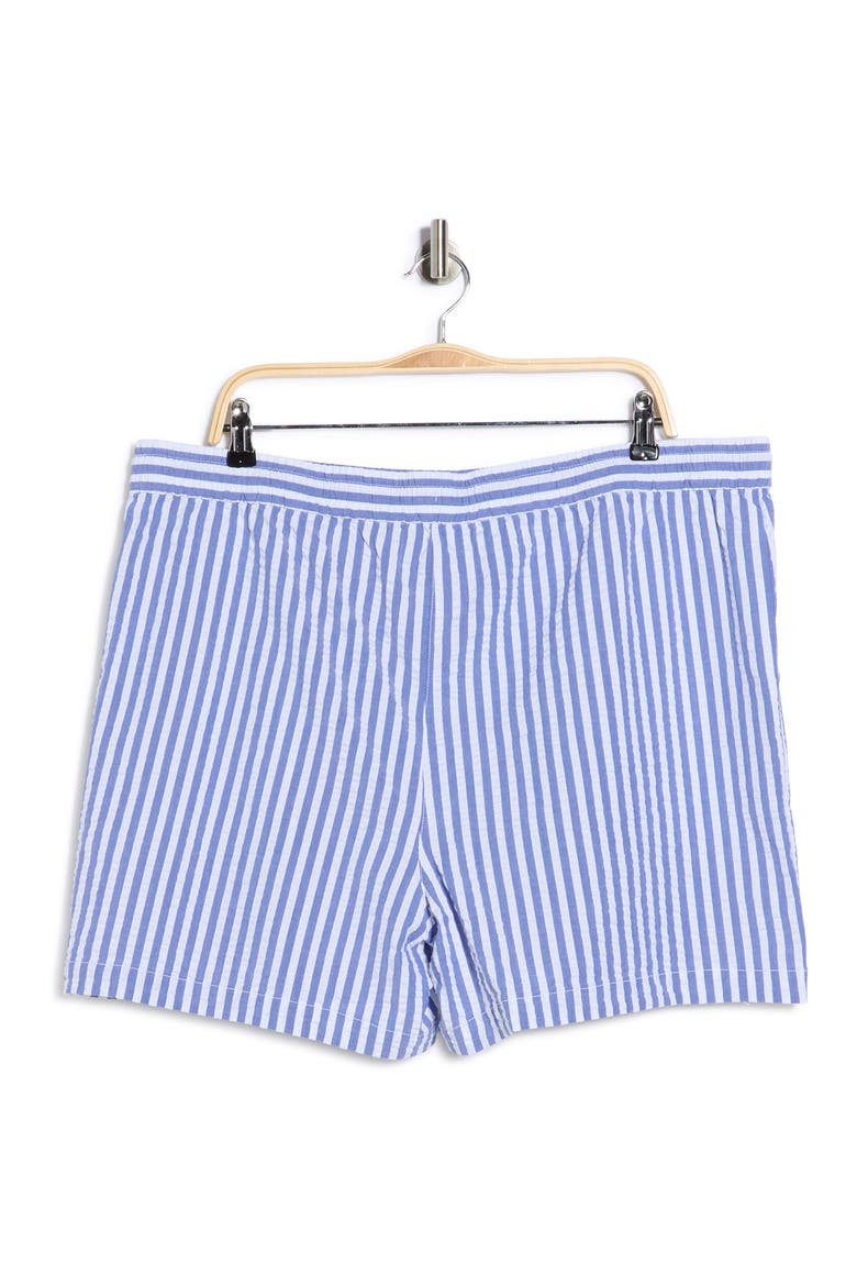 Frond Harbor Stripe 5-Inch Shorts, Alternate, color, COBALT HAZE