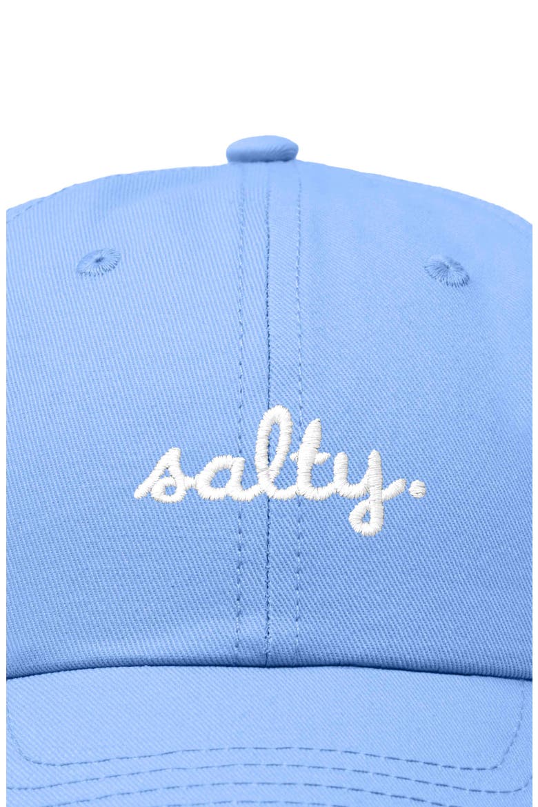 Salty Embroidered Everyday Hat, Alternate, color, Light Blue