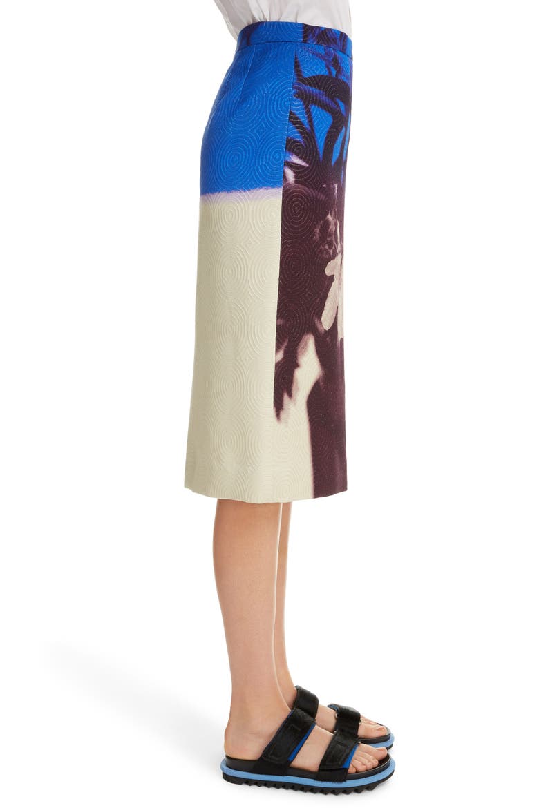 Santon Pencil Skirt, Alternate, color, 977-DES.C