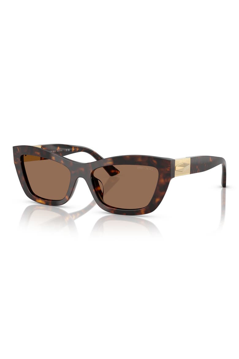54mm Cat Eye Sunglasses, Alternate, color, HAVANA