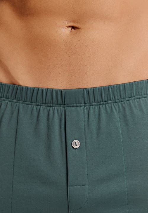 Hanro Cotton Sporty Button Fly Cotton Boxer In Herbal Tea