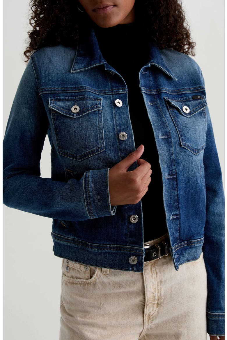 Robyn Crop Stretch Denim Jacket, Alternate, color, 9 YEARS ENCHANTMENT