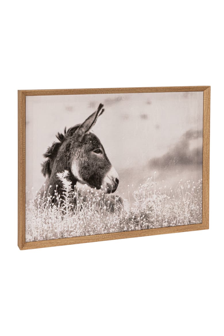 Wood Framed Canvas Wall Décor with Donkey Photography, Multicolor, Main, color, Grey