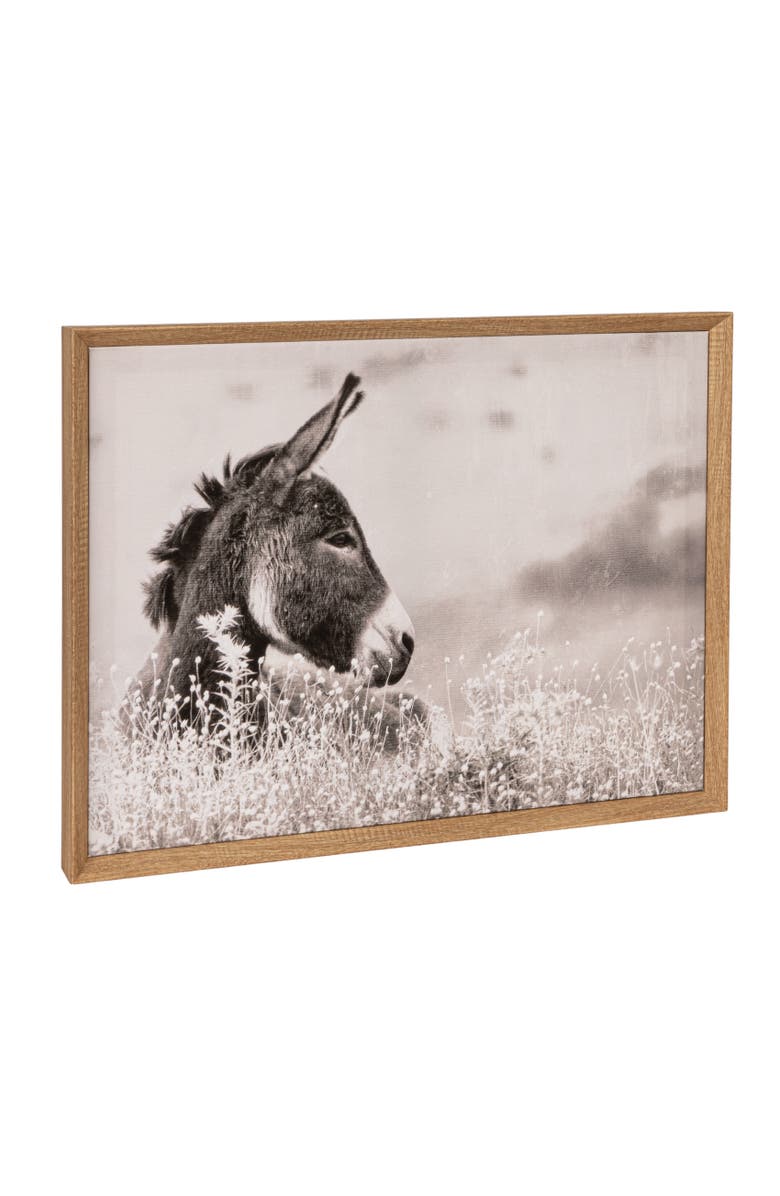 Storied Home Wood Framed Canvas Wall Décor with Donkey Photography, Multicolor, Main, color, Grey