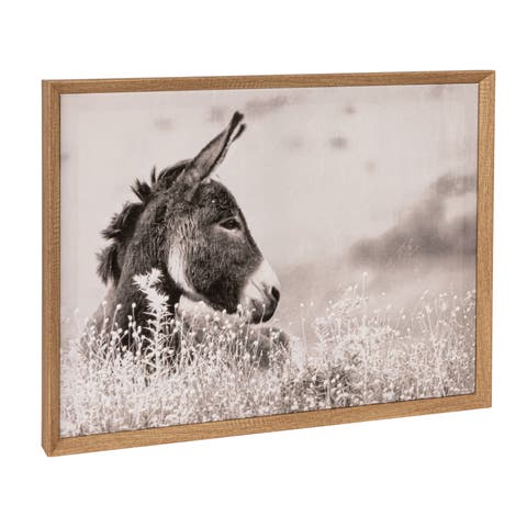 Wood Framed Canvas Wall Décor with Donkey Photography, Multicolor