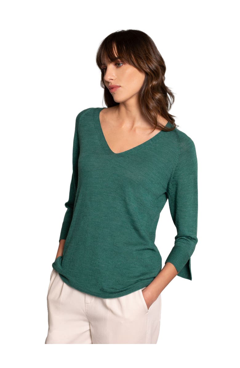 Celtic & Co. Fine Knit Merino V-Neck Sweater, Main, color, 