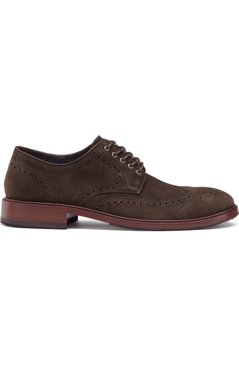 Trask Logan Wingtip Derby, Alternate, color,